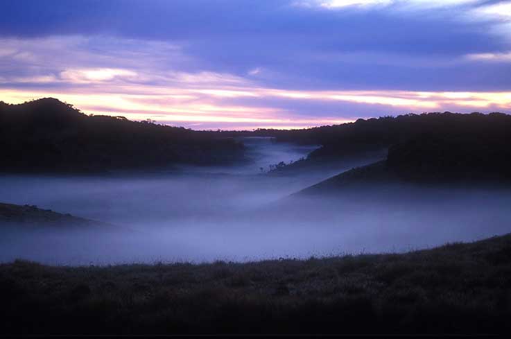 Horton Plains